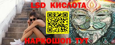 шишки Бузулук