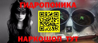дмт Будённовск