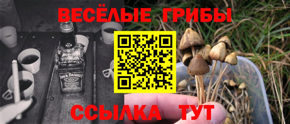 Прокопьевск  Псилоцибиновые грибы GOLDEN TEACHER  Вход с VPN 
